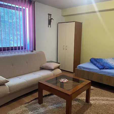 Apartmán Sandy Vlašić